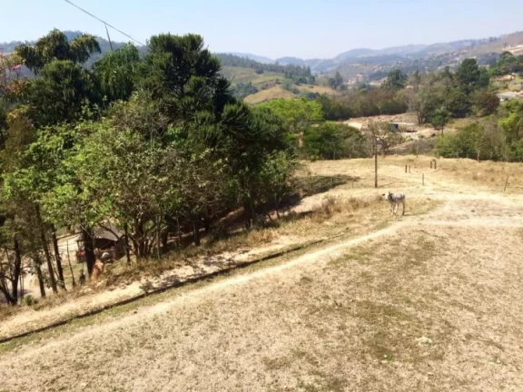 Imagem Área rural à venda, Jardim Seabra, Amparo.