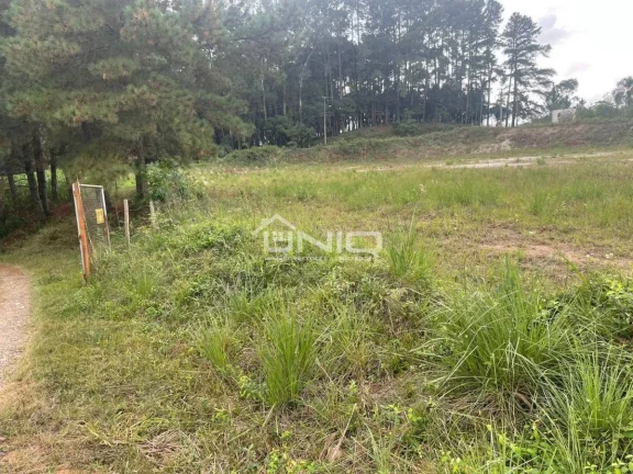Imagem Terreno em Araucária PR - Parque Industrial Thomás Coelho