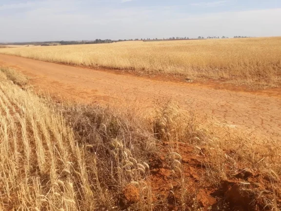 Imagem FAZENDA A VENDA - SACRAMENTO/MG