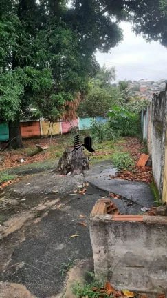 Imagem Lote à Venda no Bairro Glória Belo Horizonte MG
