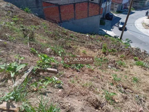 Imagem Terreno à venda, 800 m² por R$ 320.000,00 - Parque Primavera - Guarulhos/SP