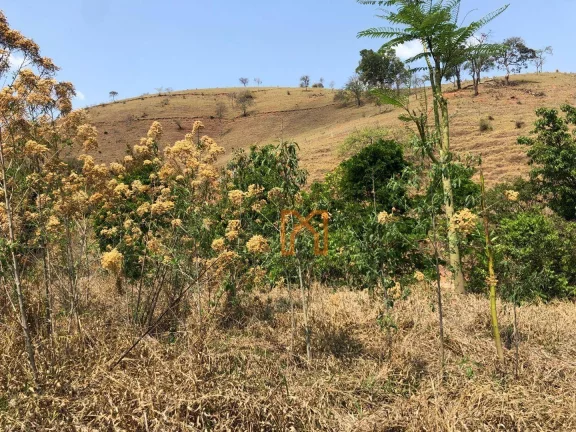 Imagem Sítio à venda, 17000 m² por R$ 690.000,00 - Área Rural de Itajubá - Itajubá/MG