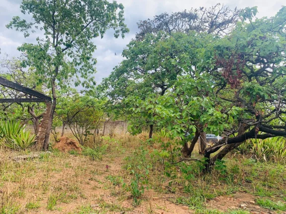 Imagem CHÁCARA DE 4.685,74M².