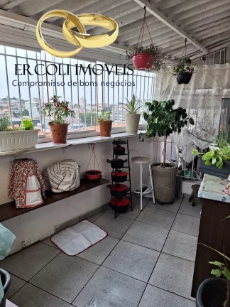 Imagem CASA COMERCIAL em São Paulo - SP, Vila Rio Branco