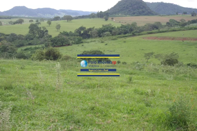 Imagem Fazenda 40 alqueires com estrutura, casa, água, energia, altitude para plantar café e gado, cidade Santo Antônio da Alegria - SP