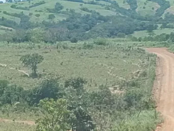 Imagem Fazenda 10 Alqueires à Venda em Luziânia, Goiás!