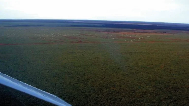 Imagem Fazenda em Mato Grosso - 103.000hec