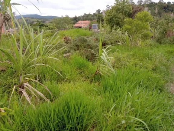 Imagem Terreno, 300 m² - venda por R$ 160.000,00 ou aluguel por R$ 1.230,00/mês - Jardim Brasil - Suzano/SP