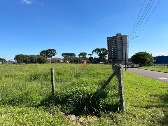 Imagem ÁREA à venda com 5513.17m² por R$ 8.269.755,00 no bairro Centro - PINHAIS / PR