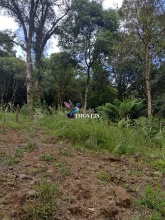 Imagem Terreno à venda no bairro Santa Terezinha em Canela/RS