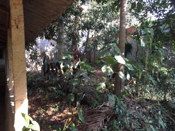 Imagem Terreno à venda, 500 m² por R$ 390.000,00 - Parque Palmeiras - Suzano/SP