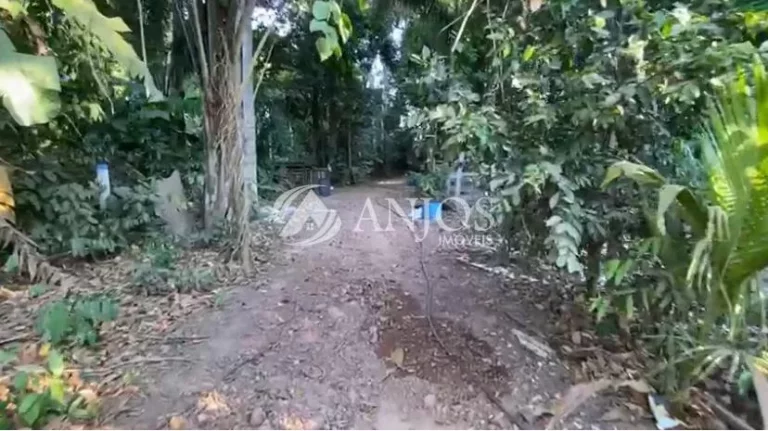 Imagem CHÁCARA NO RIO TELES PIRES Á VENDA, ÁREA RURAL, NOVA CANAA DO NORTE - MT