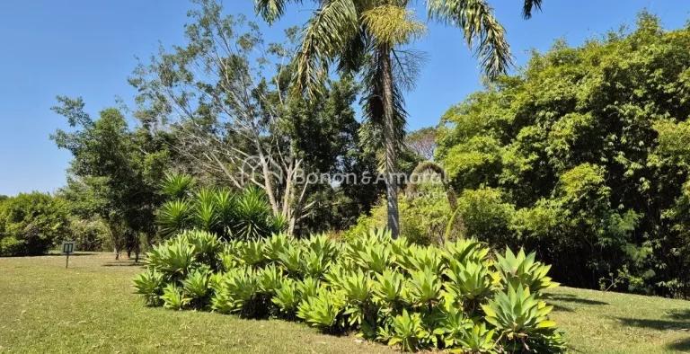 Imagem Imóvel