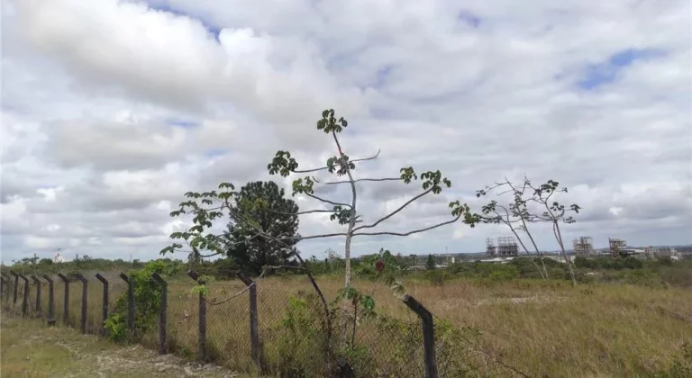 Imagem Terreno à Venda, 17.000 m² em Centro - Camaçari