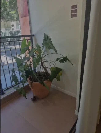 Imagem Apartamento para Venda em Rio de Janeiro, Gávea, 1 banheiro