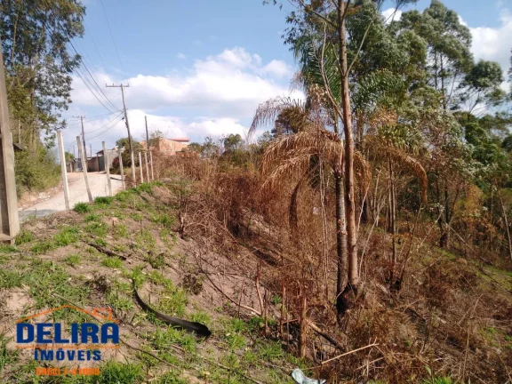Imagem Terrenos à Venda com Ótima Localização — Próximo ao Asfalto.