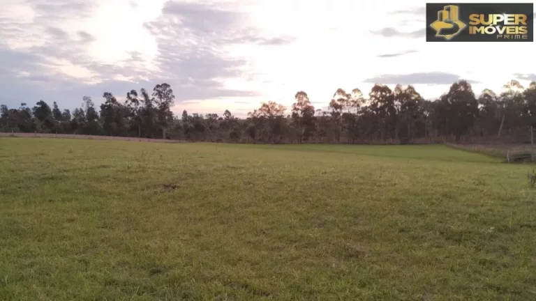 Imagem Fazenda Espetacular no Capão do Leão-RS próximo de Pelotas