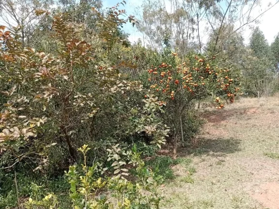 Imagem CHÁCARA LOCALIZADA NA CHÁCARAS REUNIDAS - PILAR DO SUL
