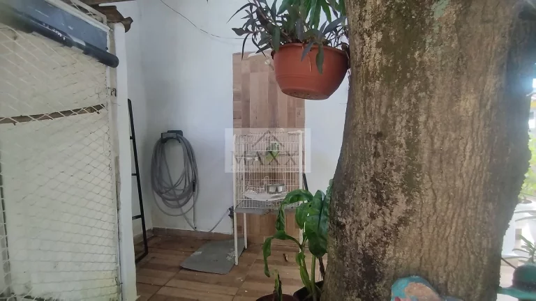 Imagem Ampla Casa Duplex com Anexo, Churrasqueira e 8 Vagas – Taquara
