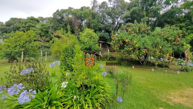 Imagem Chácara com 4 dormitórios à venda, 8000 m² por R$ 990.000,00 - Dos Tenentes - Extrema/MG