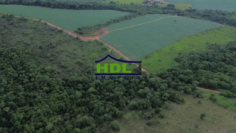 Imagem Fazenda 70 Alqs Dupla Aptidão plantada em Soja em Bela Vista GO