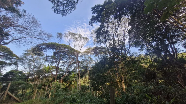 Imagem Terreno com 630m² à venda por R$200.000,00 no Siriú - Garopaba-SC