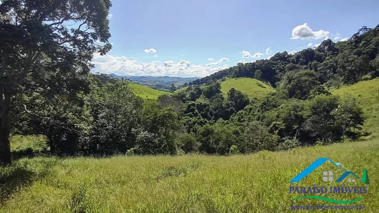 Imagem Paraíso Particular: 14,32 ha, com Vista Panorâmica e Natureza Preservada!