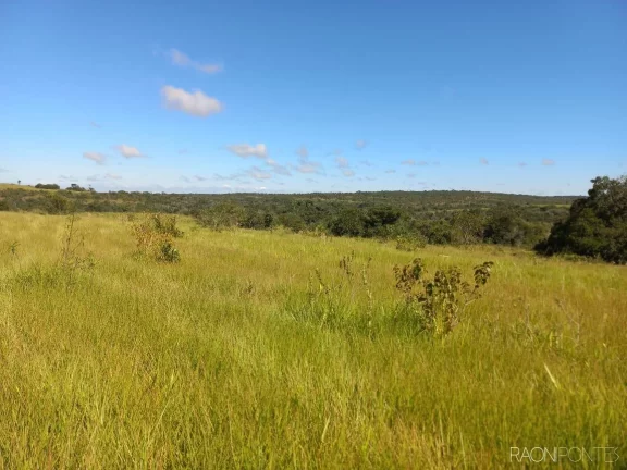 Imagem Fazenda à Venda, 10.000.000 m² em Zona Rural - Camapuã