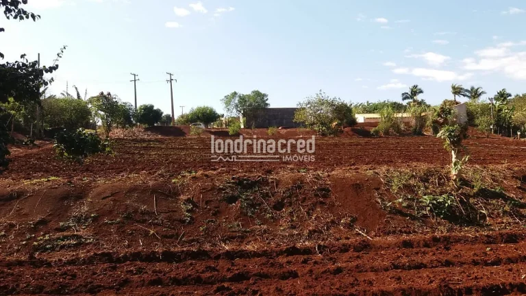 Imagem Chácara à venda 5800M², Zona Rural, Warta - PR