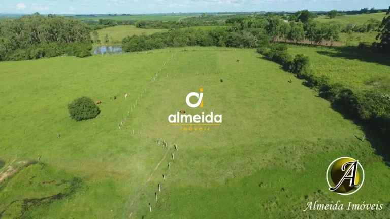 Imagem Chácara com 6,2 ha