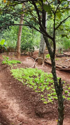 Imagem Condomínio Reserva Ipanema - Terreno à venda no bairro Condomínio Reserva Ipanema - Sorocaba/SP