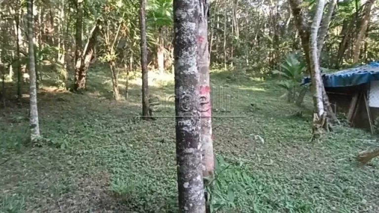 Imagem Sitio com duas casas, a primeira casa de tijolinho tem janelas de alumínio, churrasqueira, varanda ...