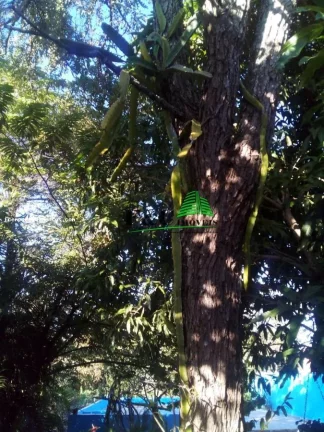 Imagem Chácara para Venda em Itirapina, Planalto, 1 dormitório, 1 banheiro, 15 vagas