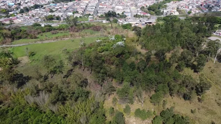 Imagem Área à venda, 42 m² por R$ 15.641.668,60 - Fazenda Aya - Suzano/SP