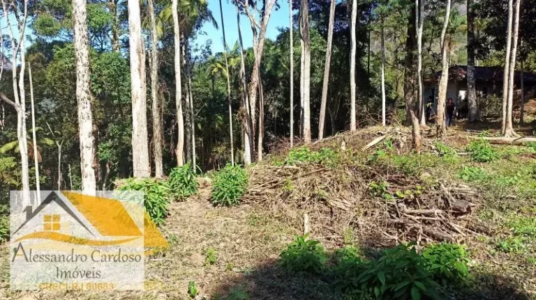 Imagem Vendo terreno de 2230 mts² no Paissandu