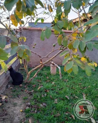 Imagem Excelente oportunidade para quem gosta de espaço e aprecia a natureza