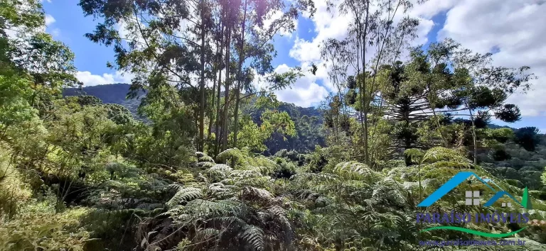 Imagem Viva o sonho na Serra da Mantiqueira neste aconchegante terreno!