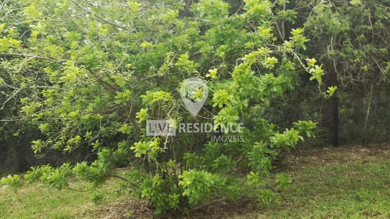 Imagem Sítio Campo dos Sonhos à venda no bairro Mato Dentro!