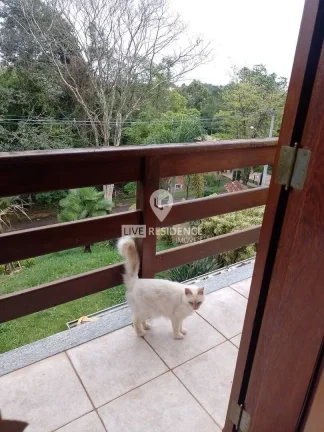 Imagem Parque da Fazenda, Itatiba SP