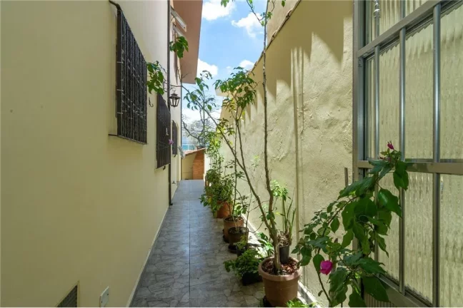 Imagem CASA RESIDENCIAL em São Paulo - SP, Cupecê