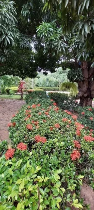 Imagem Chácara Estrada da Tapera, Casa com 04 quartos, sendo uma suíte, campo de futebo