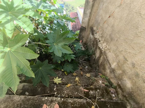 Imagem Casa com 2 Quartos à Venda, 80 m² em Novo Horizonte - Ibirité
