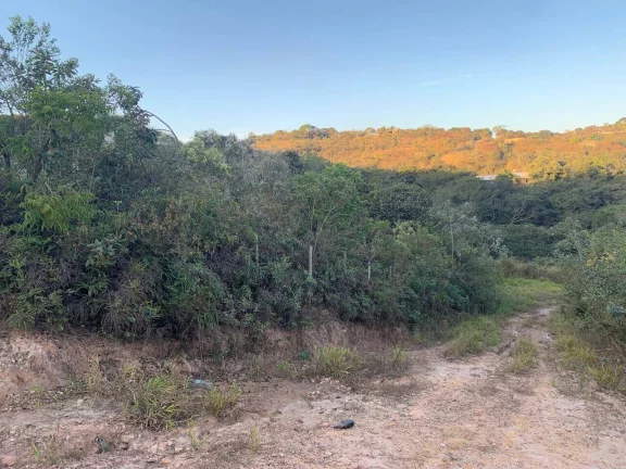 Imagem ÁREA Á VENDA , EM JUATUBA!