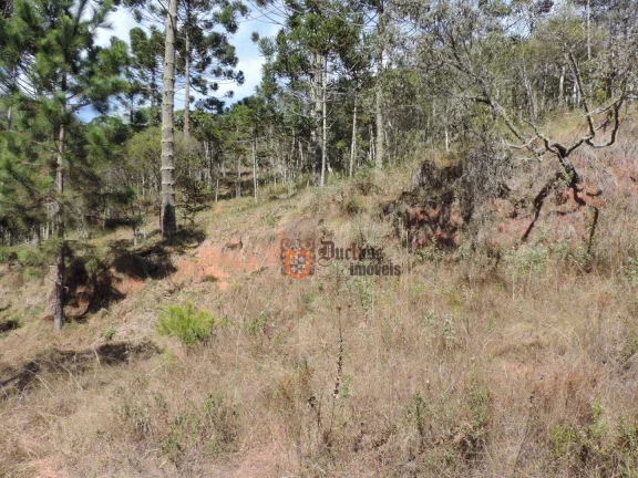 Imagem Sítio com 2 dormitórios à venda, 1000000 m² por R$ 28.000.000,00 - Dos Marmelos - Campos do Jordão/SP