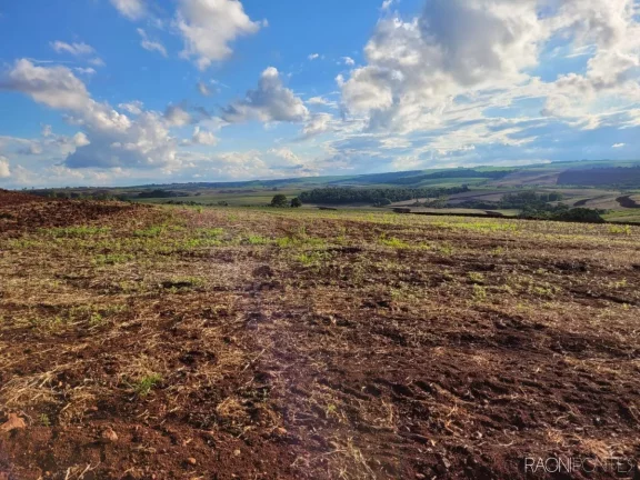 Fazenda à Venda, 2.057.000 m² em Centro - Cambé