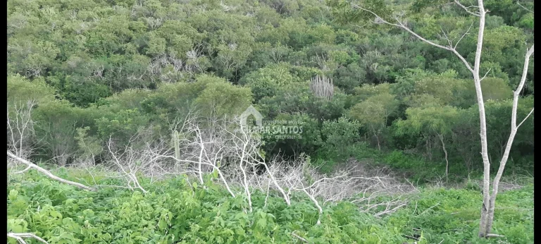 Imagem Lote/Terreno no bairro zona rural, em Sítio do Quinto
