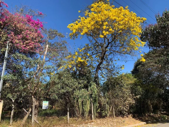 Imagem ÁREA A VENDA , TOTAL DE 11 LOTES, BAIRRO SATÉLITE EM JUATUBA!!