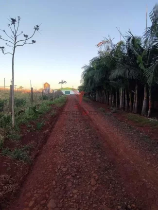 Imagem Aviário em São Miguel do Iguaçu - Centro - São Miguel do Iguaçu/PR
