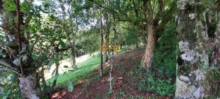 Imagem Chácara - Sítio com 2 Dormitorio(s) localizado(a) no bairro Padilha em Taquara / RIO GRANDE DO SUL Ref.:1534