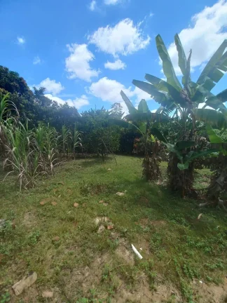 Imagem Terreno de 6.000m2 à Venda na BR-040 – Ideal para Investimentos